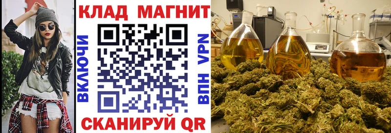 Купить закладку Тосно Псилоцибиновые грибы  ОМГ ОМГ зеркало  ГАШ  Меф  Конопля  Alpha PVP 