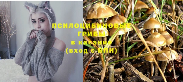 2c-b Балабаново