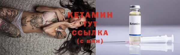 стаф Белокуриха